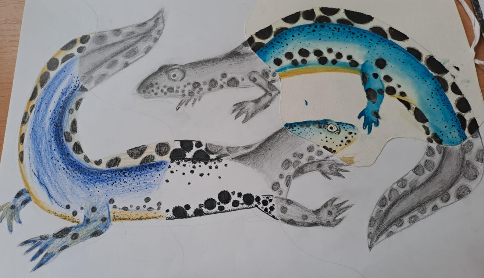 Lucia Žeňuchová, PA