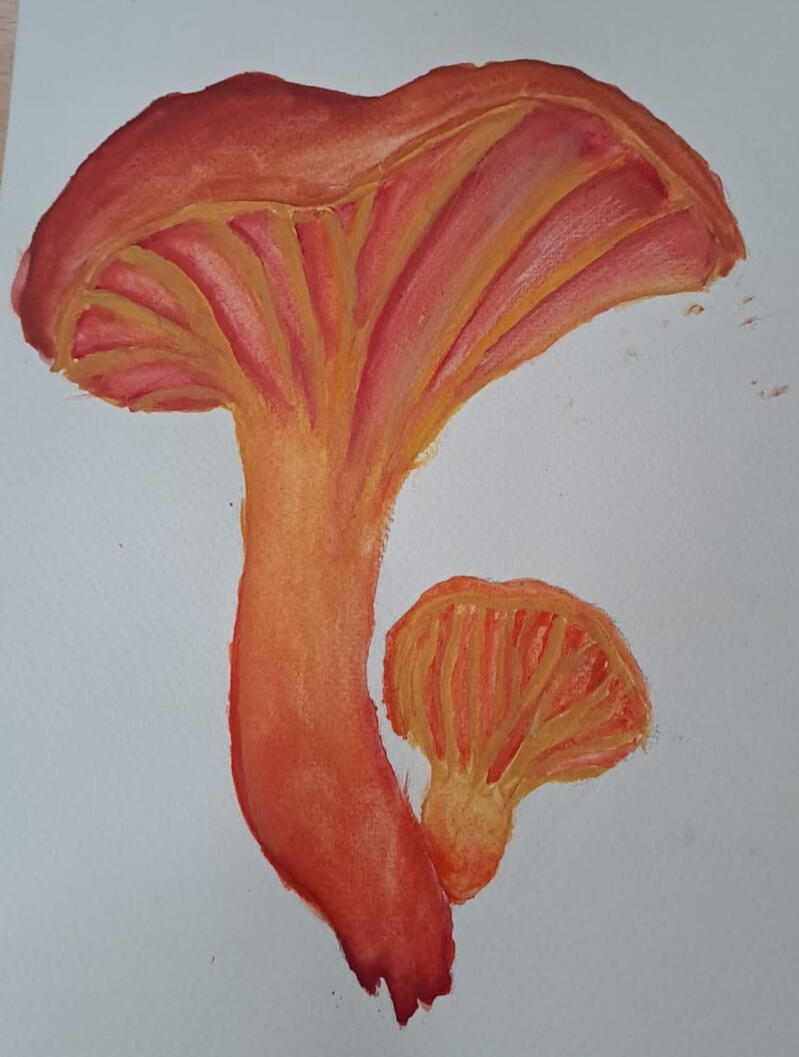 Lucia Žeňuchová, PA